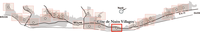 Côte de Nuits Villages / コート・ド・ニュイ・ヴィラージュ