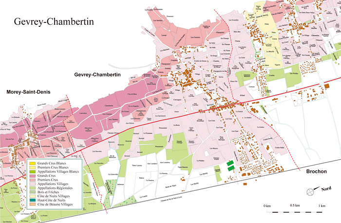 Gevrey Chambertin / ジュヴレ・シャンベルタン