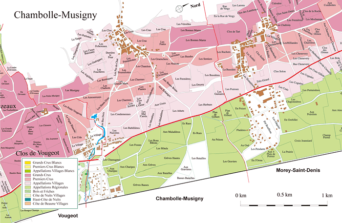 Chambolle Musigny / シャンボル・ミュジニー