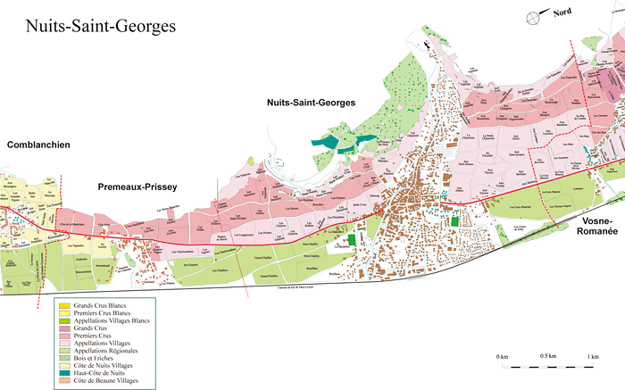 Nuits St Georges / ニュイ・サン・ジョルジュ