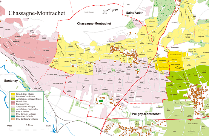 Chassagne Montrachet / シャサーニュ・モンラッシェ