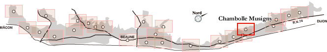 Chambolle Musigny / シャンボル・ミュジニー