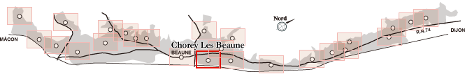 Chorey Les Beaune / ショレ・レ・ボーヌ