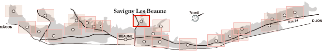 Savigny Les Beaune / サウィニー・レ・ボーヌ