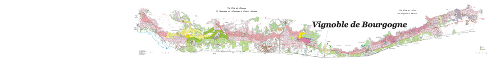 ブルゴーニュ畑地図