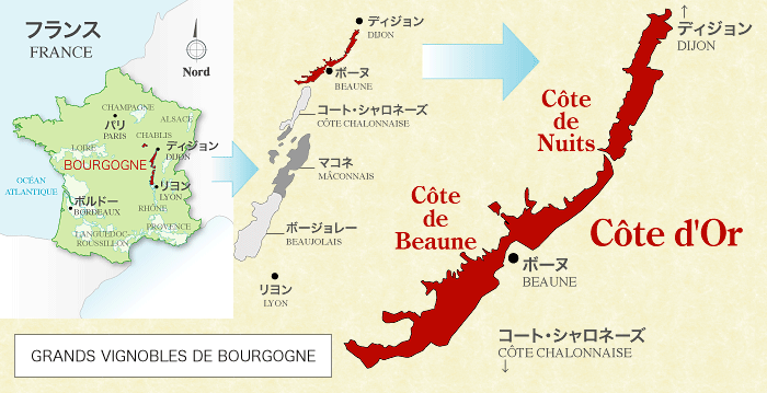 ブルゴーニュ畑地図 ラック コーポレーション