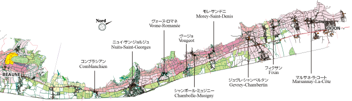 ブルゴーニュ畑地図 ラック コーポレーション